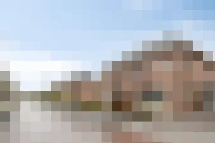 Ganzerik 11 Swifterbant thumbnail 44