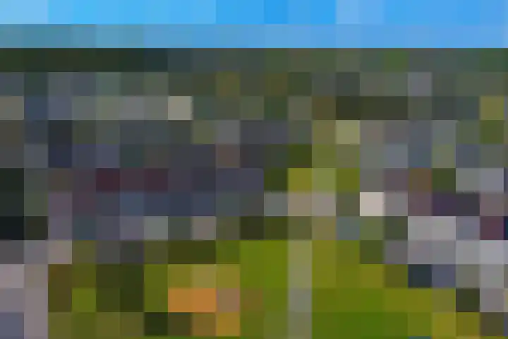 Ganzerik 11 Swifterbant thumbnail 46