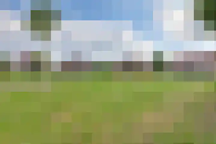 Ganzerik 11 Swifterbant thumbnail 47