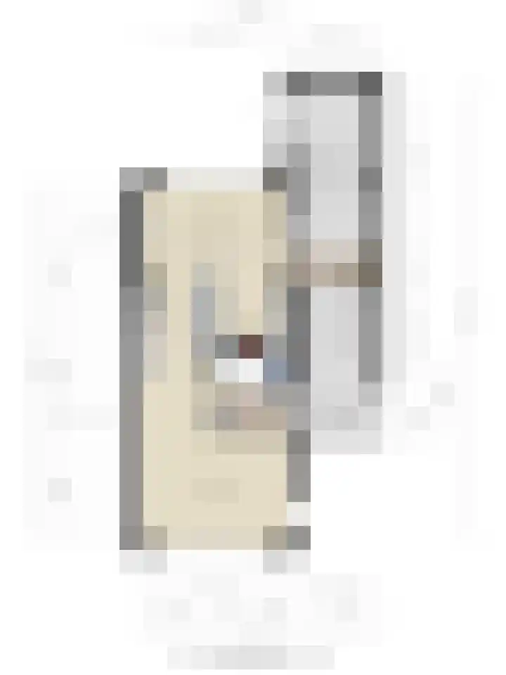 Ganzerik 11 Swifterbant thumbnail 48