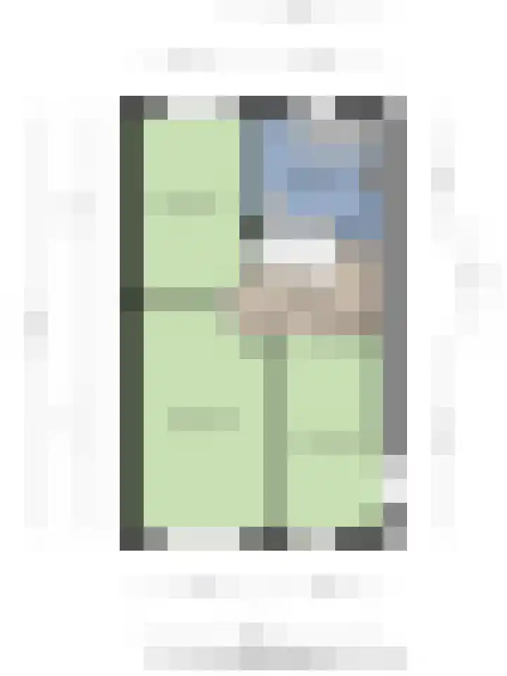 Ganzerik 11 Swifterbant thumbnail 49
