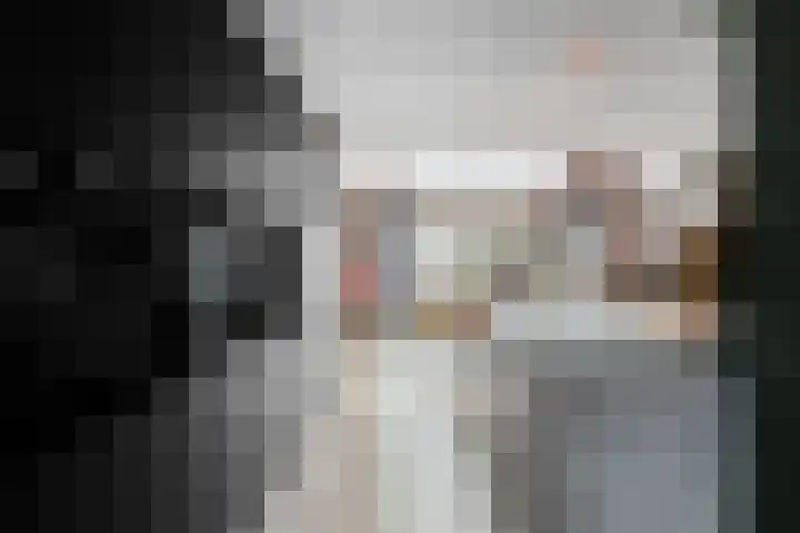 Ganzerik 11 Swifterbant thumbnail 8
