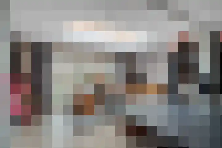 Ganzerik 11 Swifterbant thumbnail 9