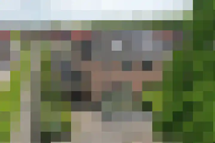Ganzerik 21 Swifterbant