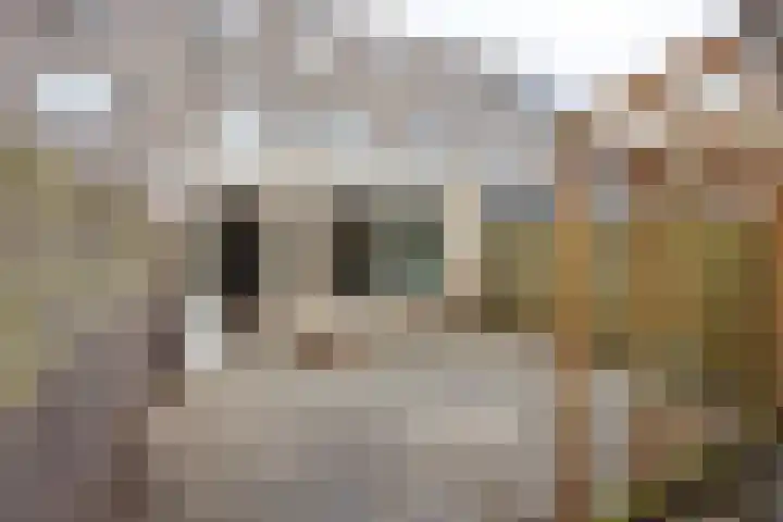Ganzerik 31 Bennekom thumbnail 21