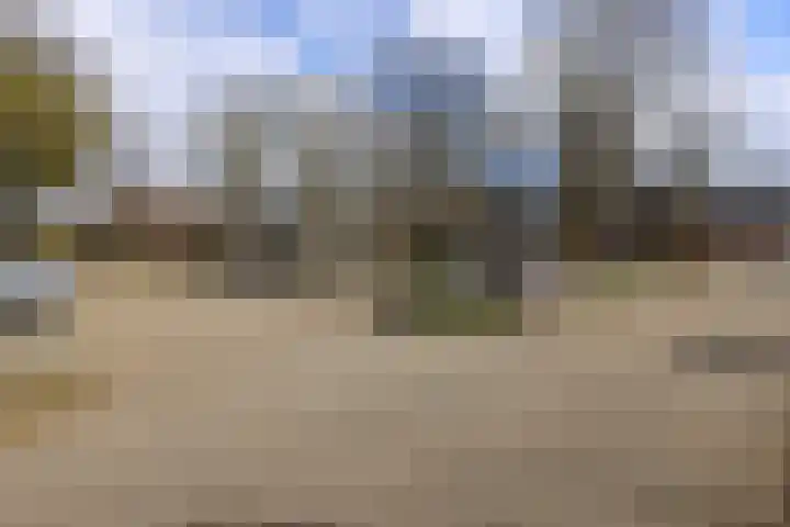 Ganzerik 31 Bennekom thumbnail 4