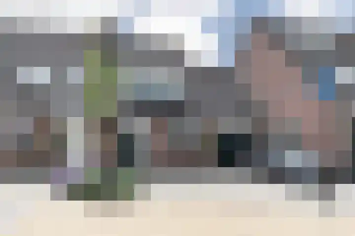 Ganzerik 33 Alblasserdam