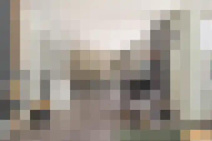 Ganzerik 39 Castricum thumbnail 14