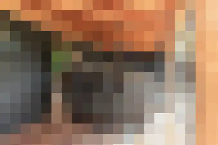 Ganzerik 39 Castricum thumbnail 20