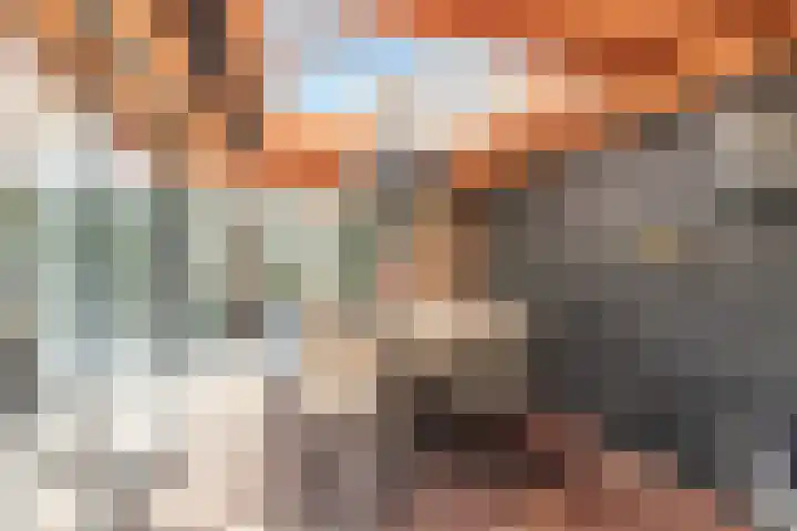 Ganzerik 39 Castricum thumbnail 21