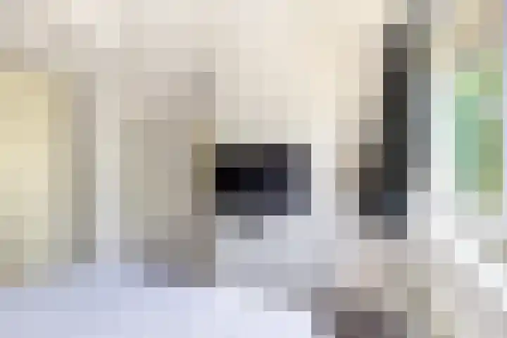 Ganzerik 39 Castricum thumbnail 26