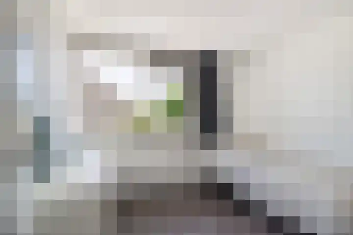 Ganzerik 39 Castricum thumbnail 29