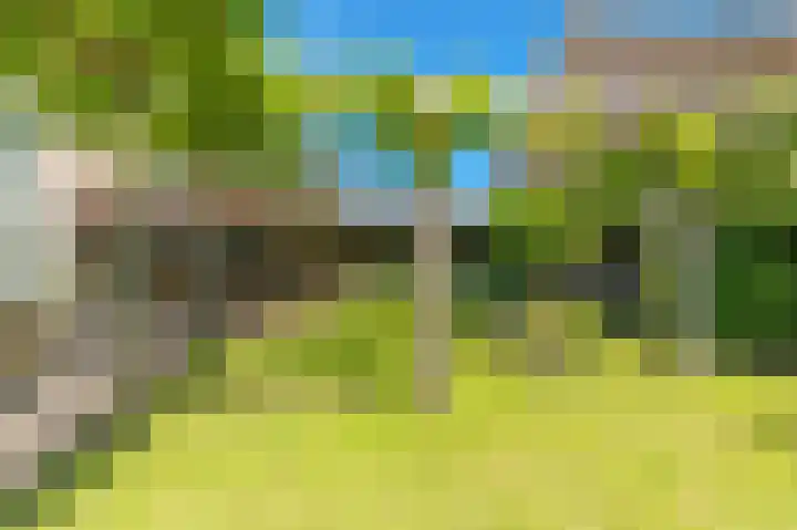 Ganzerik 39 Castricum thumbnail 43