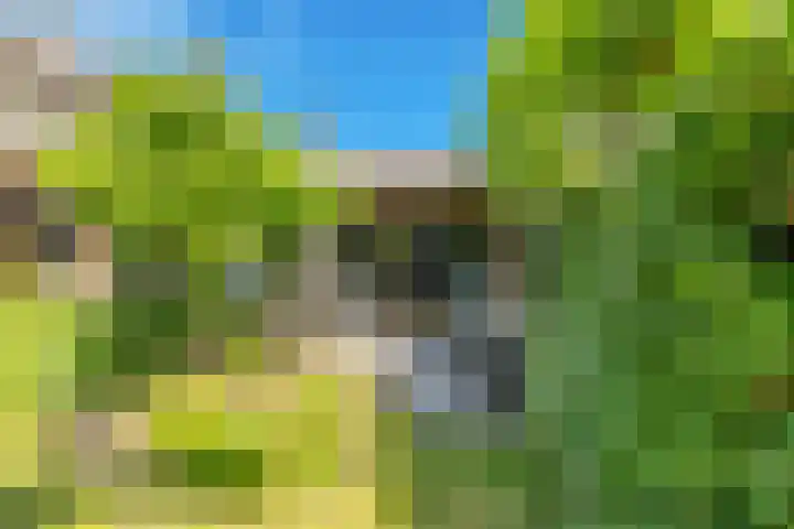 Ganzerik 39 Castricum thumbnail 44
