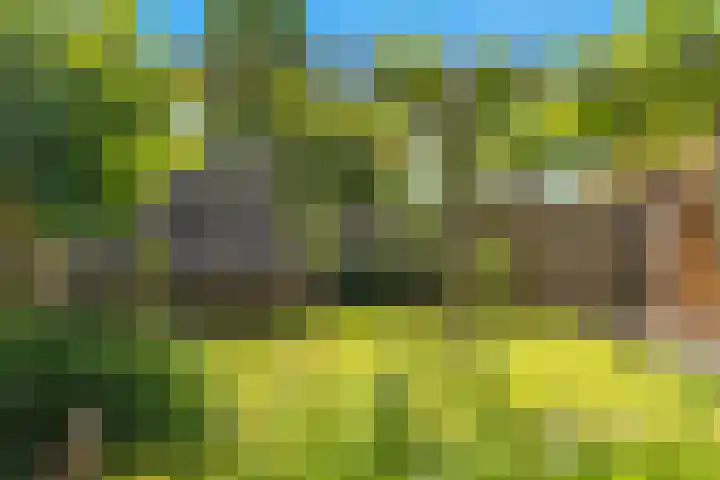 Ganzerik 39 Castricum thumbnail 45
