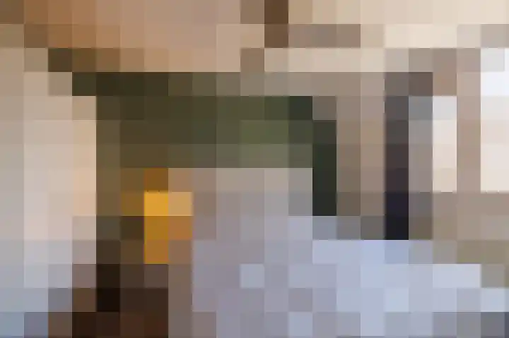 Ganzerik 47 Bennekom thumbnail 14