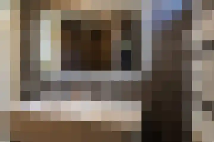 Ganzerik 47 Bennekom thumbnail 19