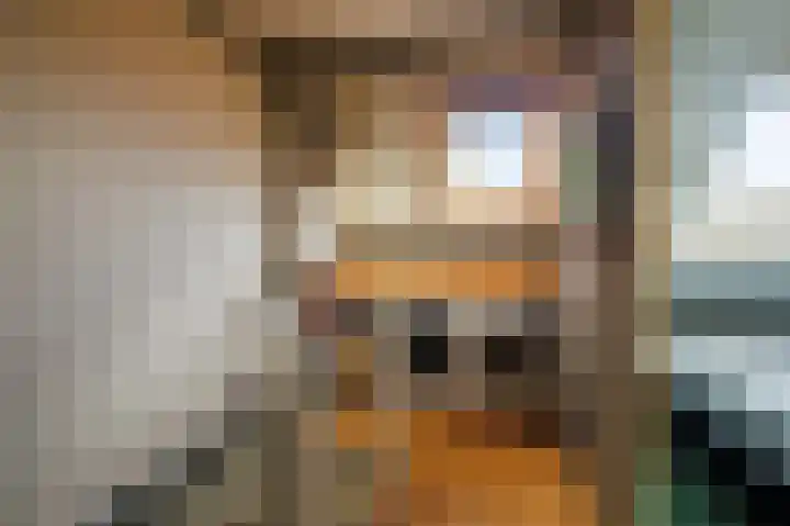 Ganzerik 47 Bennekom thumbnail 23