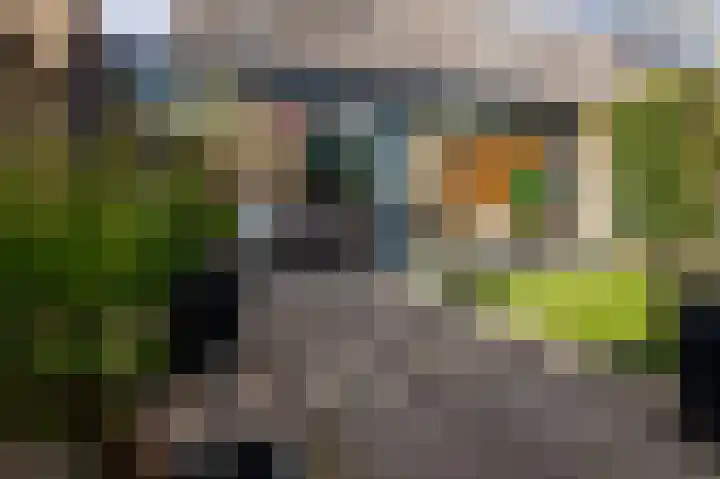 Ganzerik 47 Bennekom thumbnail 27