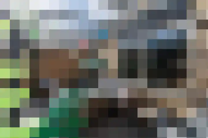 Ganzerik 47 Bennekom thumbnail 30