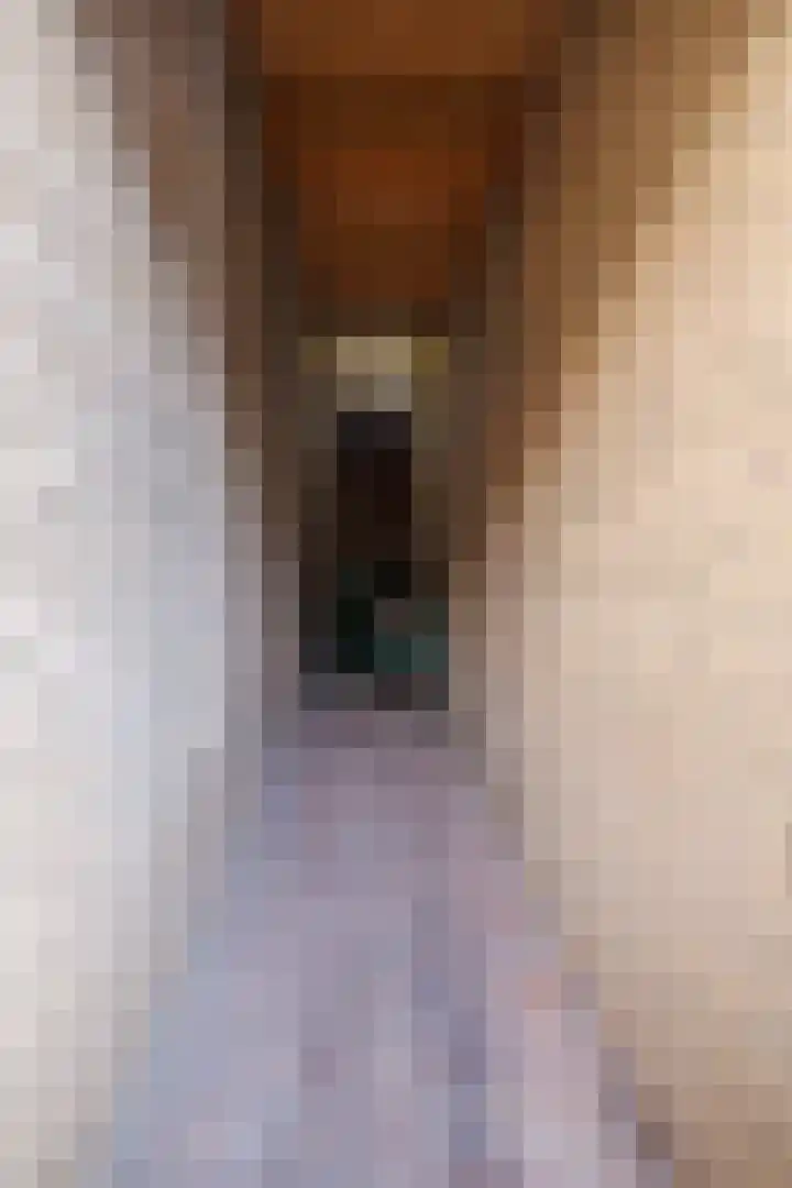Ganzerik 47 Bennekom thumbnail 31