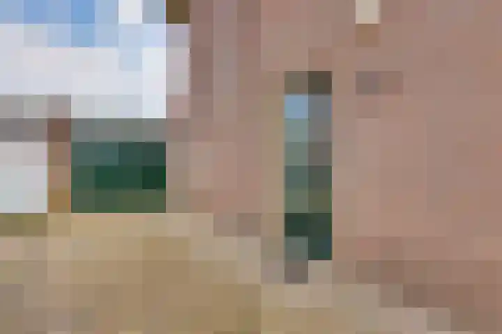 Ganzerik 5 Swifterbant thumbnail 10