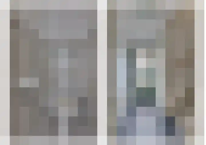 Ganzerik 5 Swifterbant thumbnail 12