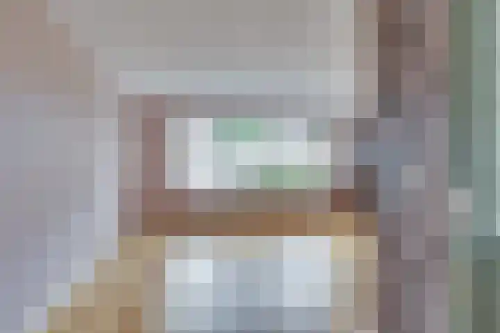 Ganzerik 5 Swifterbant thumbnail 14