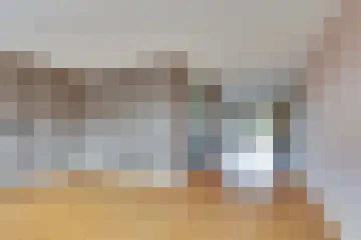 Ganzerik 5 Swifterbant thumbnail 16