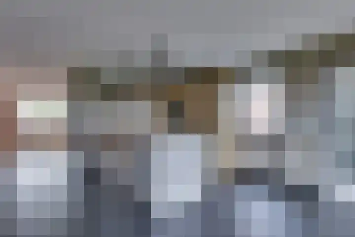 Ganzerik 5 Swifterbant foto 2