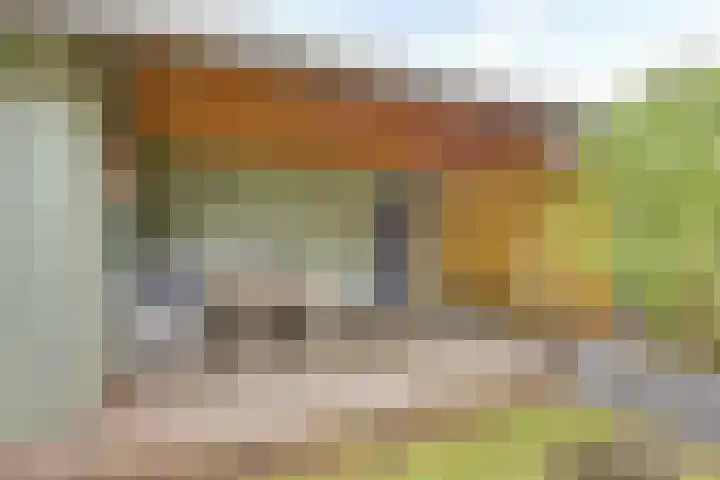 Ganzerik 5 Swifterbant thumbnail 29