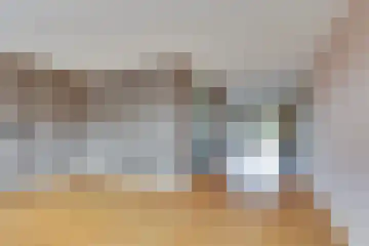 Ganzerik 5 Swifterbant foto 3