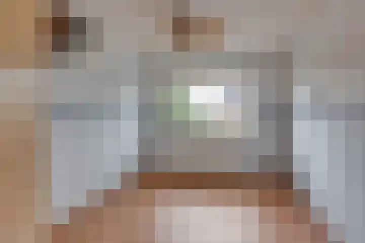 Ganzerik 5 Swifterbant thumbnail 39