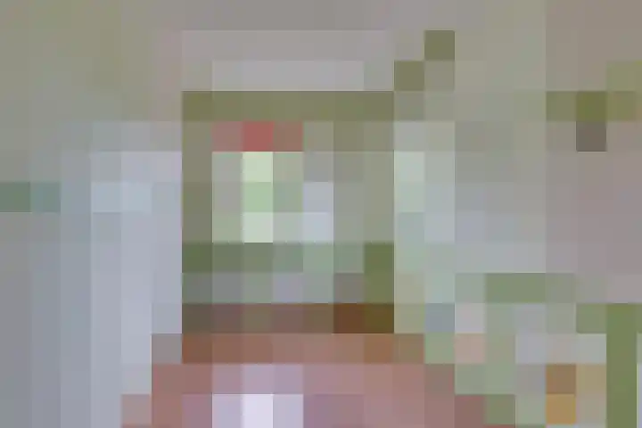 Ganzerik 5 Swifterbant thumbnail 41