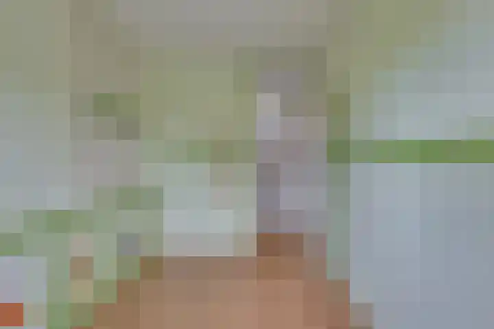 Ganzerik 5 Swifterbant thumbnail 42