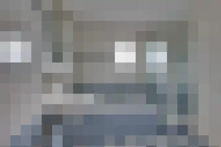 Ganzerik 5 Swifterbant thumbnail 43