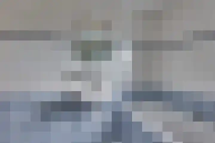 Ganzerik 5 Swifterbant thumbnail 44