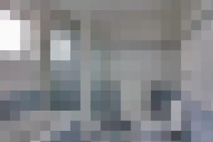 Ganzerik 5 Swifterbant thumbnail 45