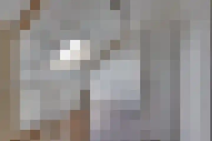 Ganzerik 5 Swifterbant thumbnail 47