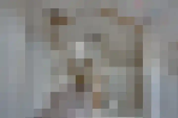 Ganzerik 5 Swifterbant thumbnail 48