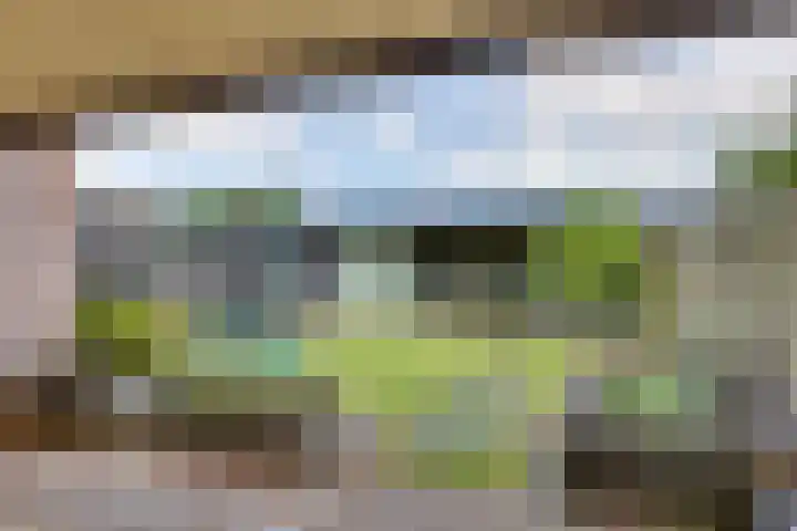 Ganzerik 5 Swifterbant thumbnail 5