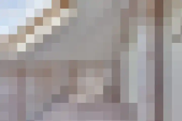 Ganzerik 5 Swifterbant thumbnail 50