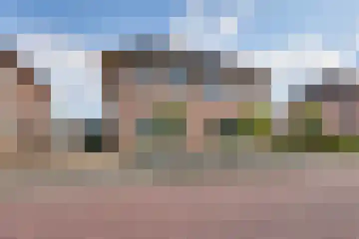 Ganzerik 5 Swifterbant thumbnail 51