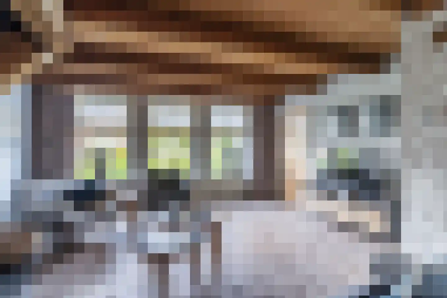 Ganzestraat 30 Hapert thumbnail 10
