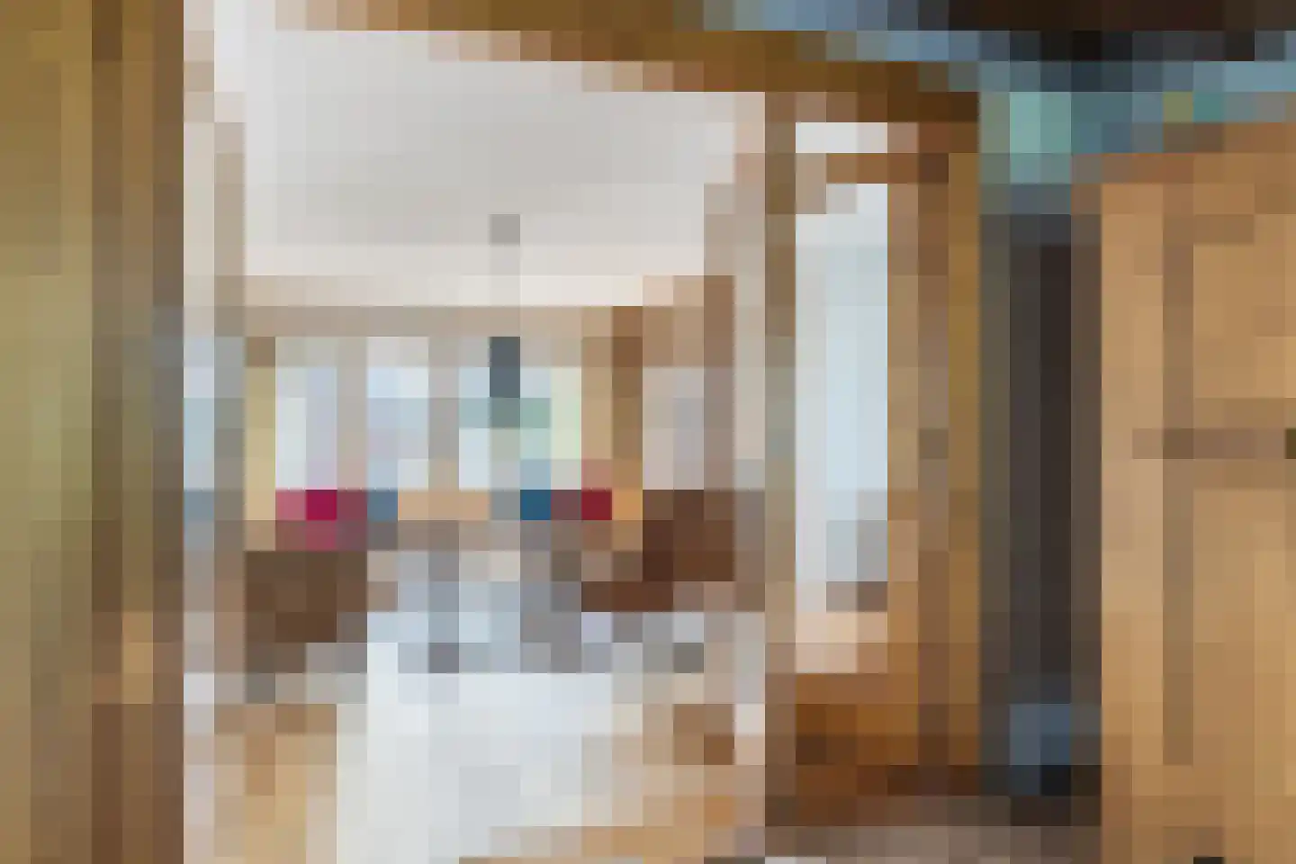 Ganzestraat 30 Hapert thumbnail 11