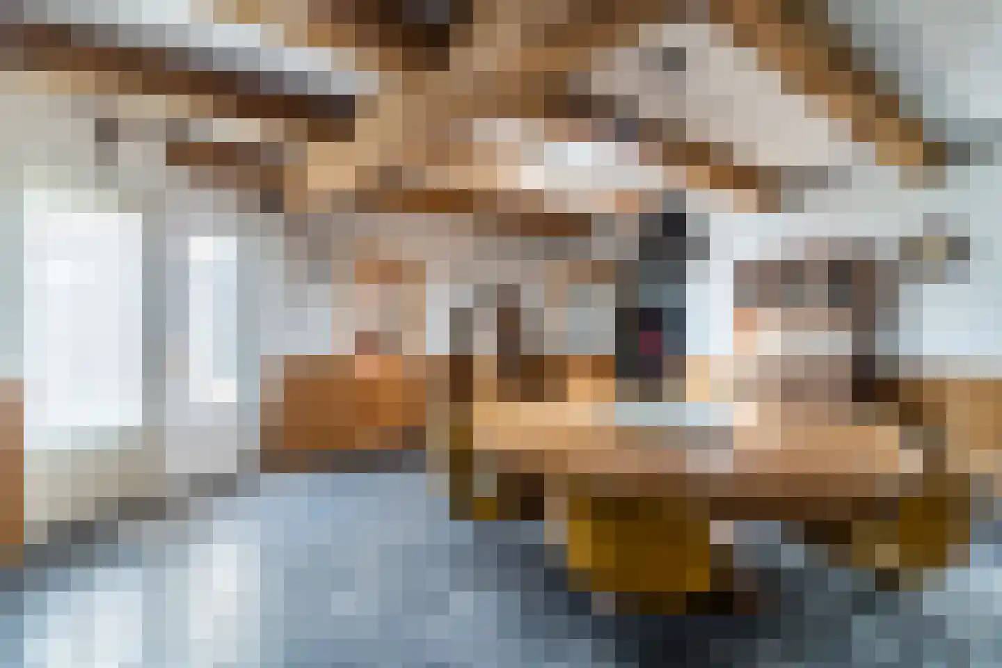 Ganzestraat 30 Hapert thumbnail 18