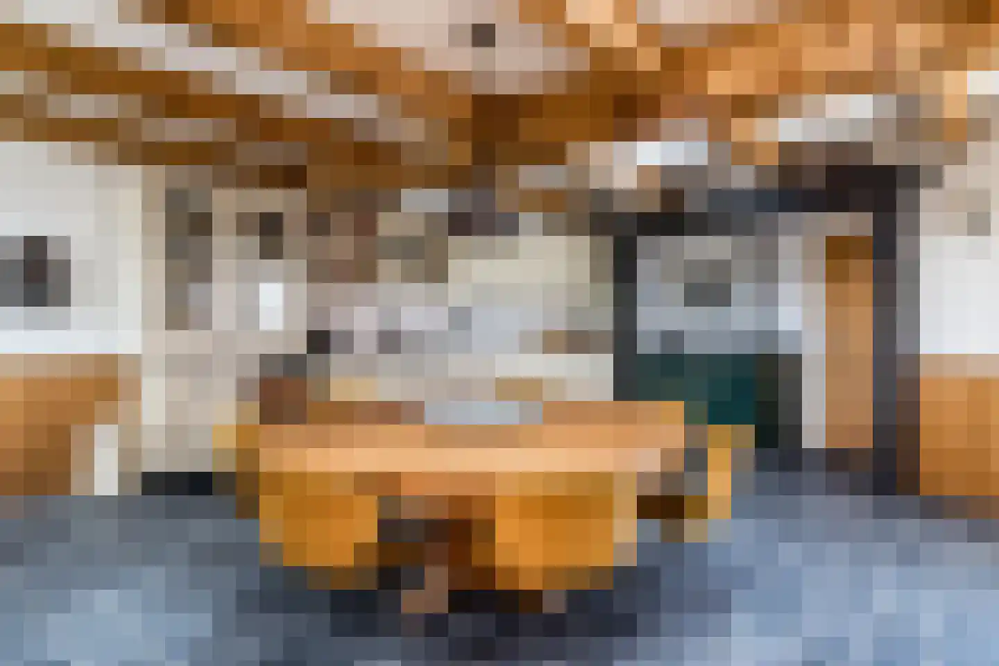 Ganzestraat 30 Hapert thumbnail 19