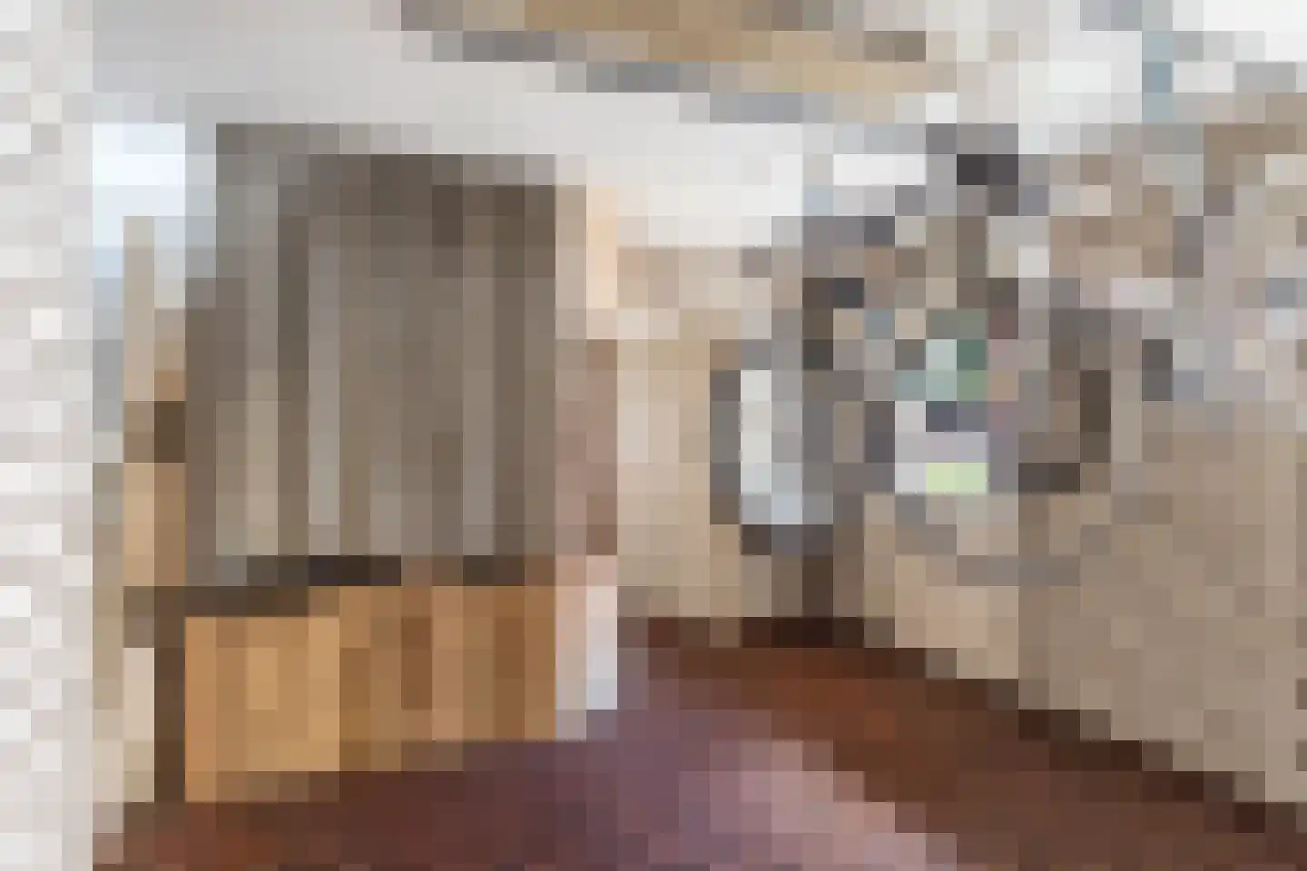 Ganzestraat 30 Hapert thumbnail 22