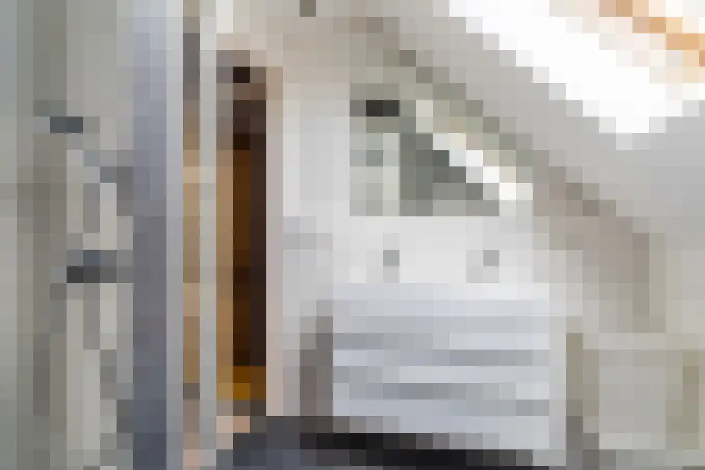 Ganzestraat 30 Hapert thumbnail 29