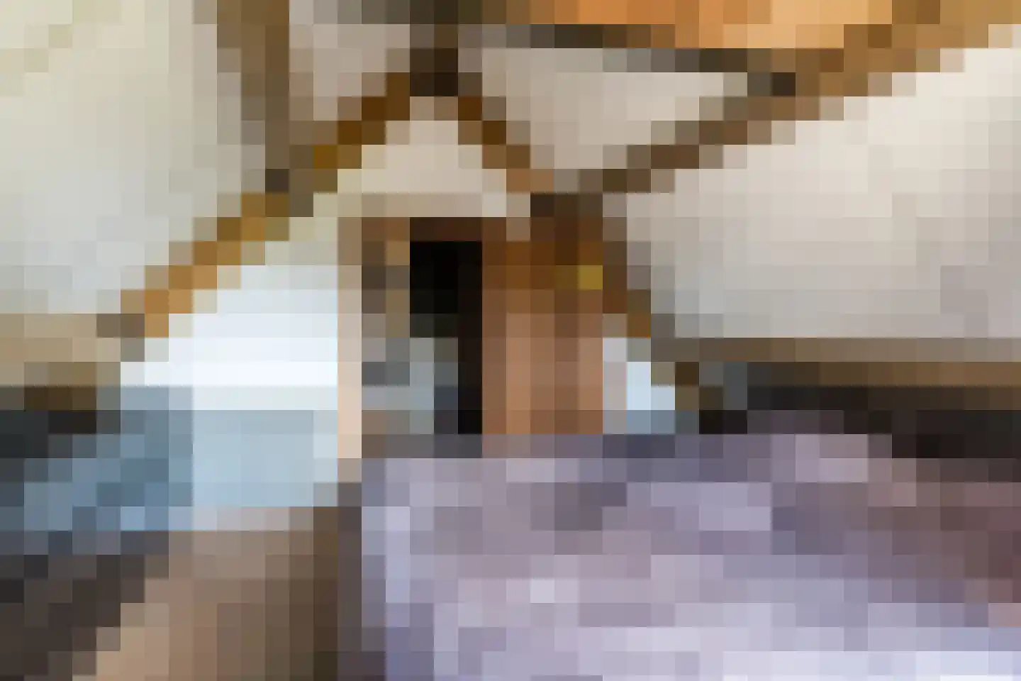 Ganzestraat 30 Hapert thumbnail 42